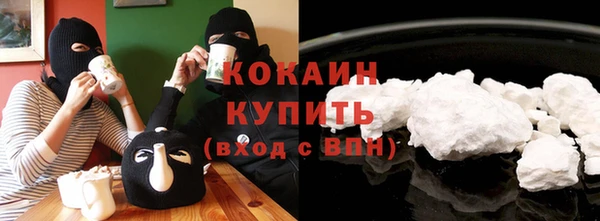 ГАЛЛЮЦИНОГЕННЫЕ ГРИБЫ Аркадак