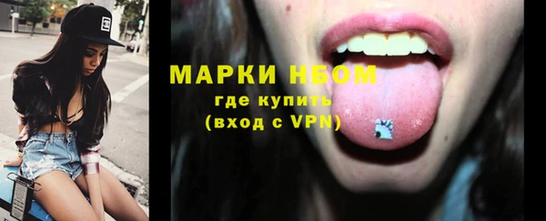 ГАЛЛЮЦИНОГЕННЫЕ ГРИБЫ Аркадак