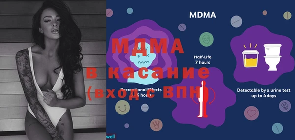 ГАЛЛЮЦИНОГЕННЫЕ ГРИБЫ Аркадак