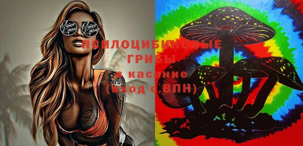 ГАЛЛЮЦИНОГЕННЫЕ ГРИБЫ Аркадак