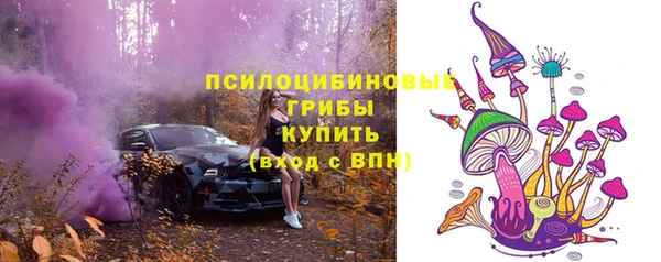 гидра Армянск