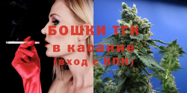 ГАЛЛЮЦИНОГЕННЫЕ ГРИБЫ Аркадак