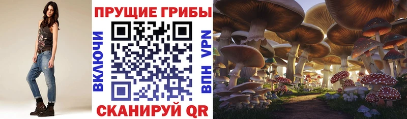 Псилоцибиновые грибы мицелий  Королёв 